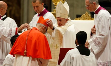 О. Майкл Черны SJ — новый кардинал Католической Церкви