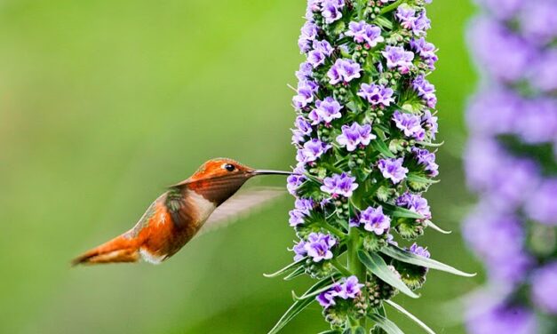 Духовные Упражнения в августе (1-4), 2013, в Москве