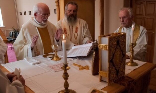 Иезуитское призвание – помощь и сопровождение