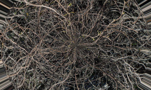 Фотовыставка «Прах!» 19 марта — 18 апреля 2014