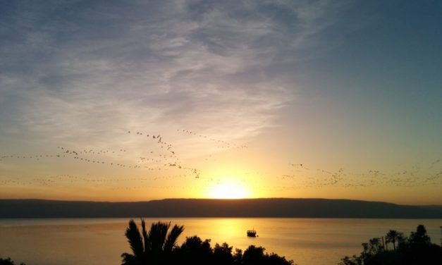 Духовные упражнения в Новогрудке (11-18 июля 2021)