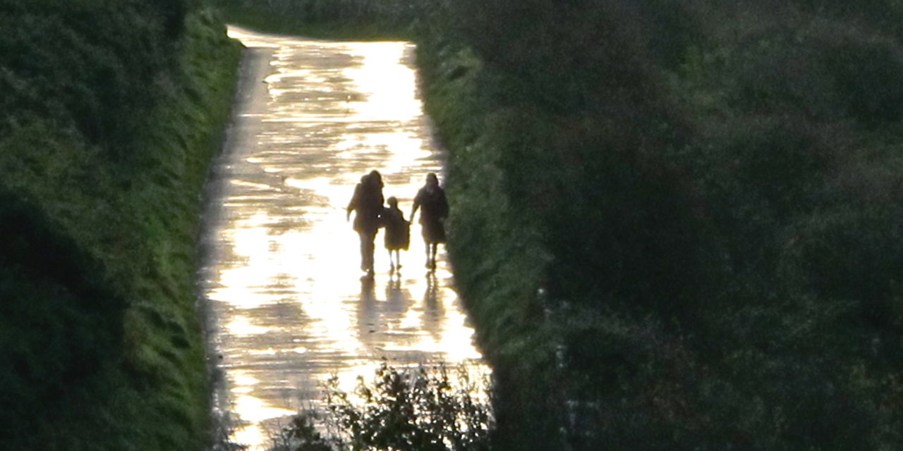 Любить — давать свободу (XIII воскресенье рядового времени)