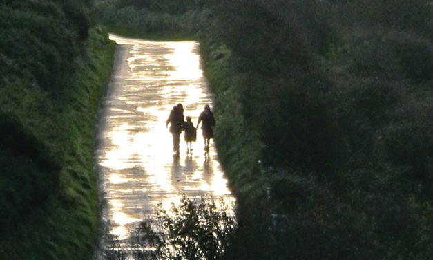 Любить — давать свободу (XIII  воскресенье рядового времени)