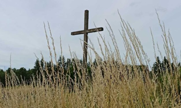 Победить зло? –  Укрепляя добро  (XVI воскресенье рядового времени, A)