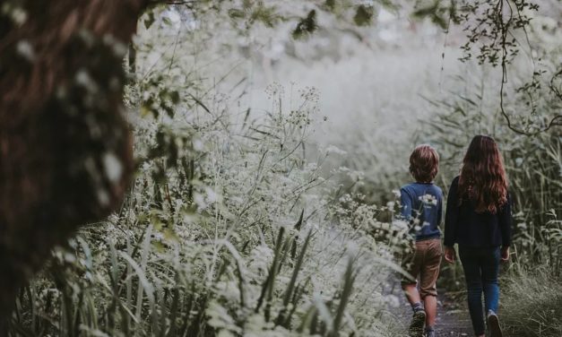 Профилактика сексуальных злоупотреблений в отношении детей в Католической Церкви — Эва Куш