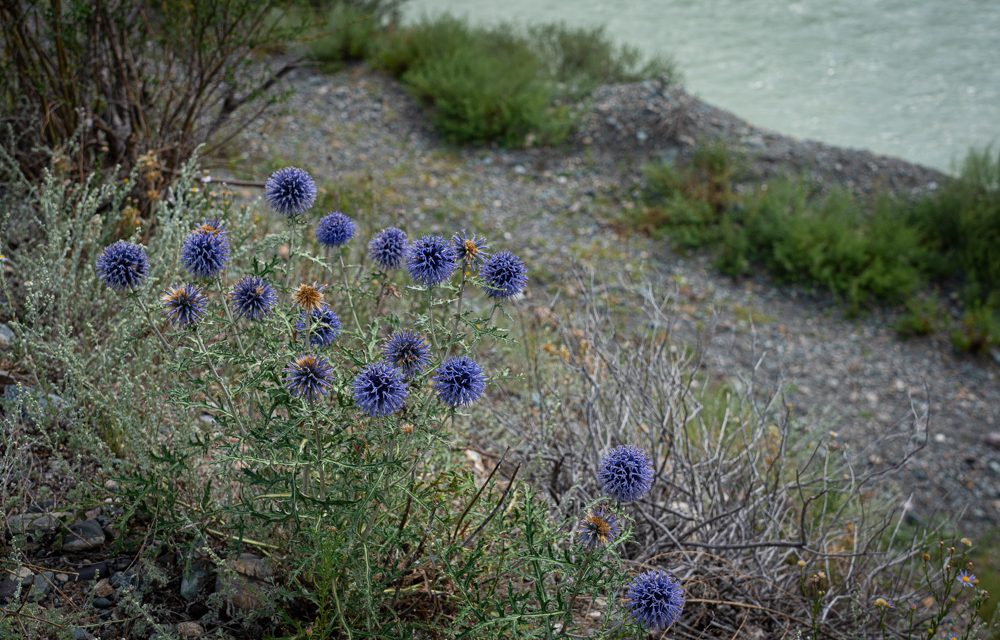 Слушать Бога через наше воображение