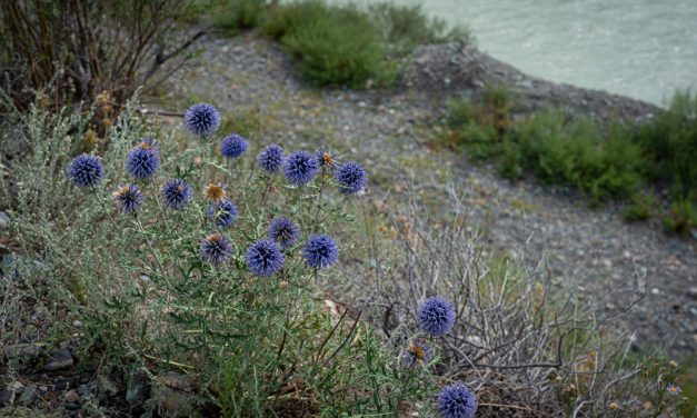 Слушать Бога через наше воображение