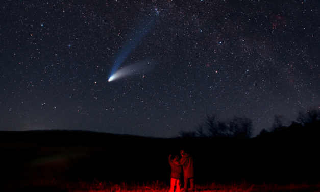 «Путеводная звезда» Валентина Станселя