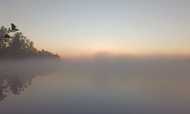 Потребности, желания и мудрость пустыни