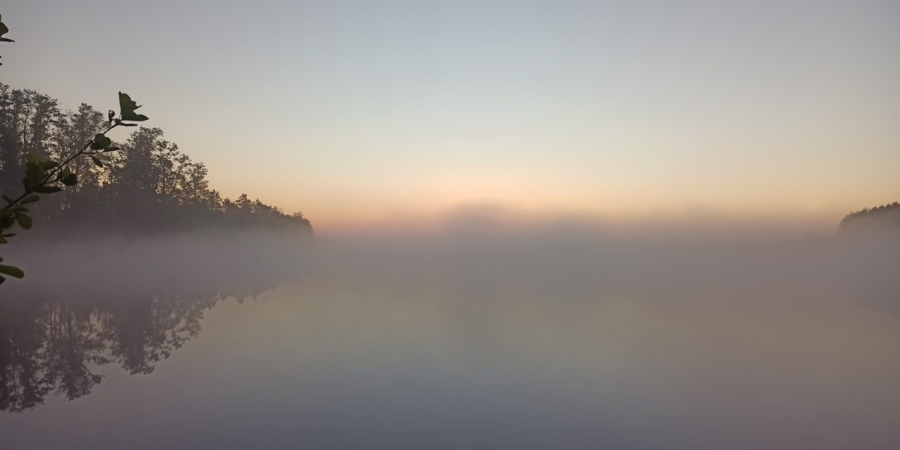 Потребности, желания и мудрость пустыни