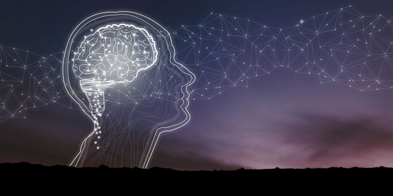 Вера и мозг: 1. Уникален ли человеческий разум?