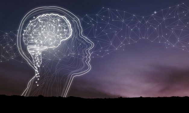 Вера и мозг: 1. Уникален ли человеческий разум?