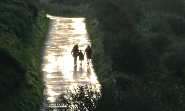 Моя «шпаргалка» для молитвы просмотра дня