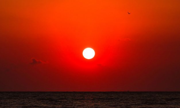 Великопостные размышления: 5. Иов и вопрос зла