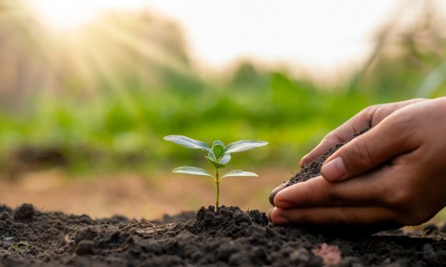 Время посеять новую привычку