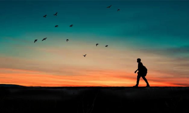 Забота о человеке, забота о себе