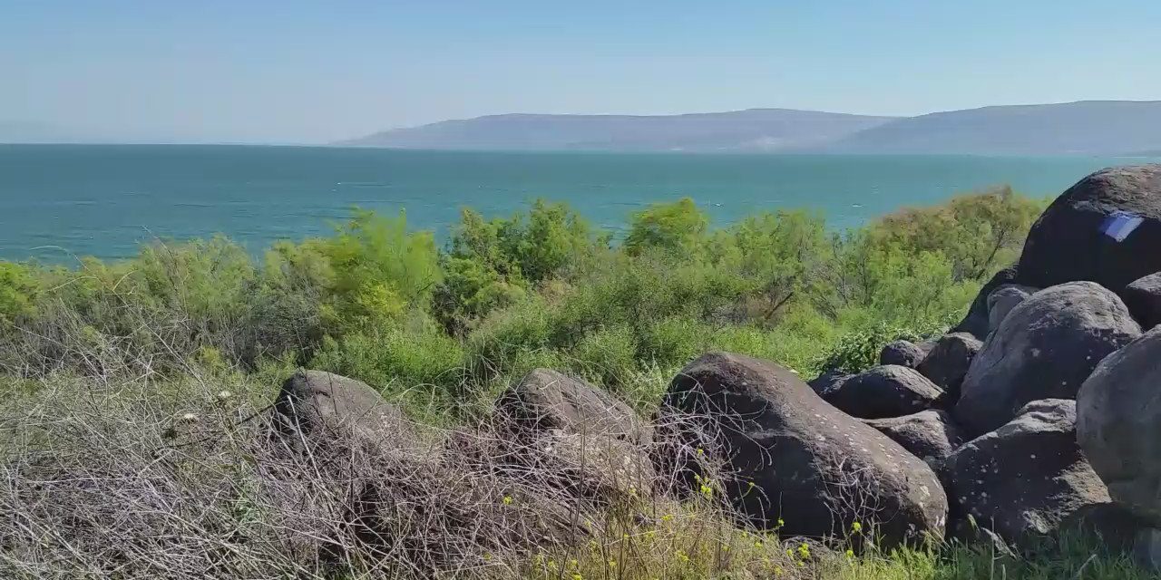 Часто задаваемые вопросы о вере: «Кто такой Иисус?»