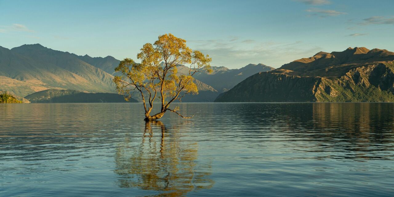 Вера, которая ищет стать жизнью