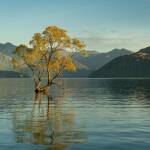 Вера, которая ищет стать жизнью