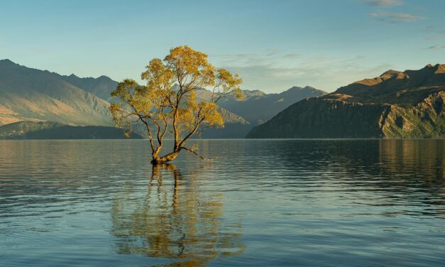 Вера, которая ищет стать жизнью
