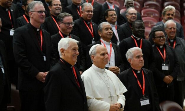 Папа к высшим настоятелям иезуитов: «Церкви вы нужны на рубежах»