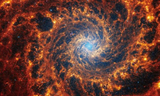 «Очарованные чудом»: космос в Ватиканских садах