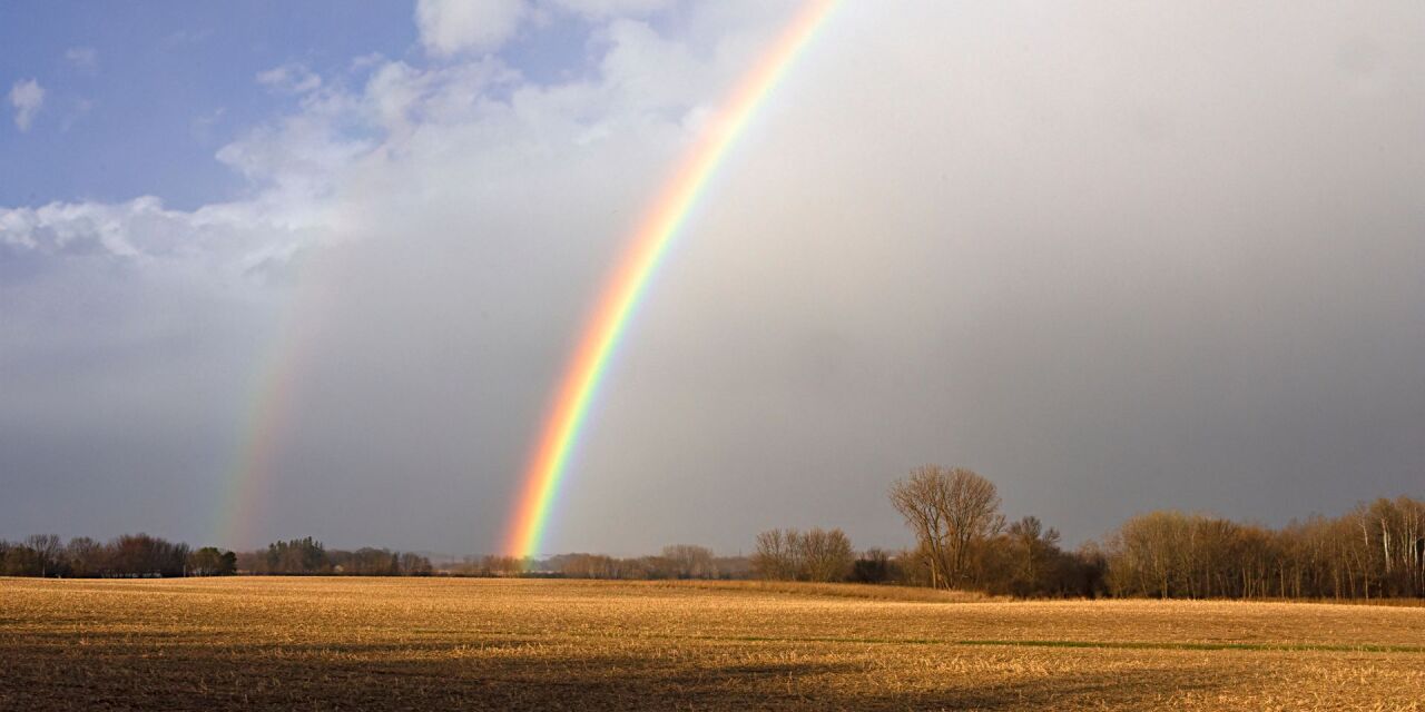 Библейский лексикон: Надежда