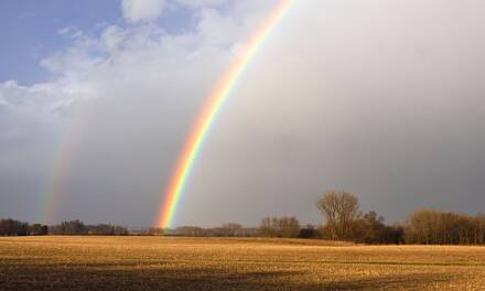 Библейский лексикон: Надежда