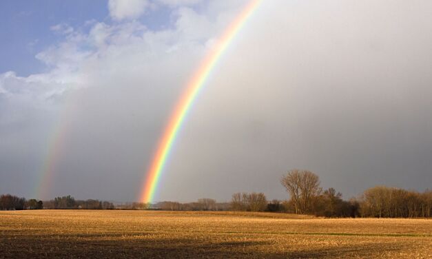 Библейский лексикон: Надежда