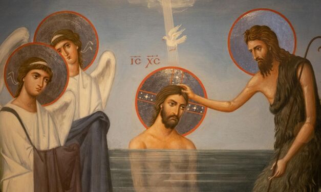 Не выйти сухим из воды: Голубь над бездной