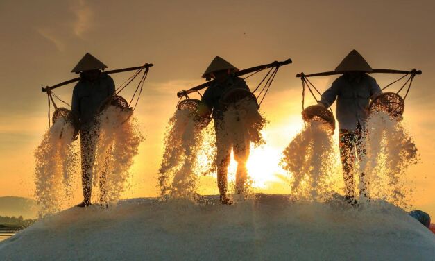 Чтобы мир не протух