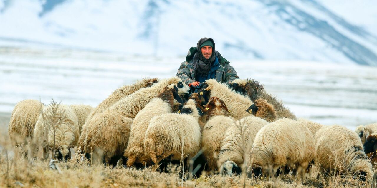 Вакансии у Доброго Пастыря не открыты