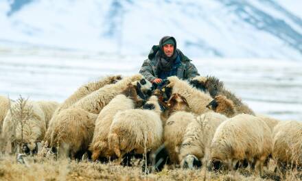Вакансии у Доброго Пастыря не открыты