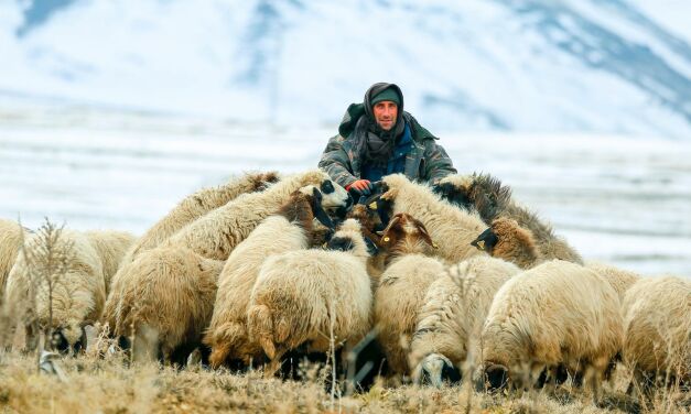 Вакансии у Доброго Пастыря не открыты